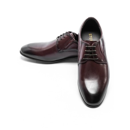 Pantofi Barbati 003-833 Ied (C43) Stephano