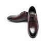 Pantofi Barbati 003-833 Ied (C43) Stephano