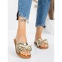 Papuci Dama cu Talpa Joasa 5PT9 LIGHT GOLD | MEI