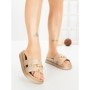 Papuci Dama cu Platforma FF-85 GOLD | EMAS