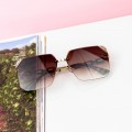 Dámske slnečné okuliare 2020-316 Hnedá Fashion